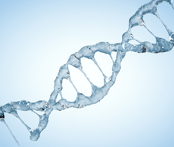 Clean Room Wiper Roll: Keeping Your Environment Spotless